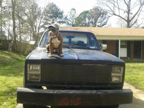 1986 Southaven MS